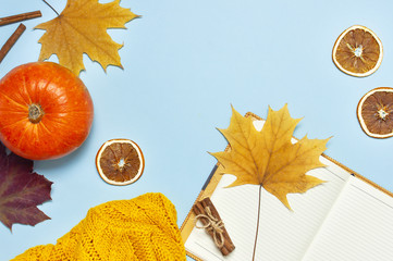 Opened notebook, orange pumpkin, cinnamon, yellow autumn maple leaf on blue background top view flat lay. Concept of study, working table, halloween. Space for text