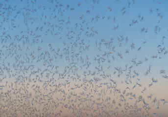 Frosty pattern at a window.