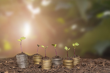 Stapel von Geldmünzen und junge Pflanzen Unternehmen mit CSR Praxis