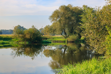River landscape on a background of green trees on the shore at sunny summer morning