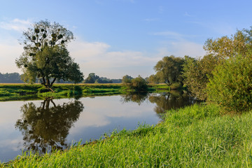 Small river on the background of grass-covered banks against blue sky. River landscape on a summer morning