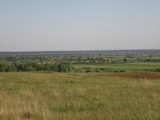 siberian autumn forest
