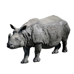 Fototapeta premium Rhino isolated on white background.