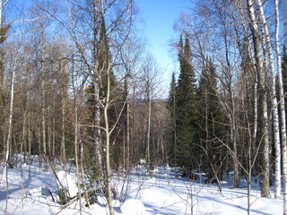 snowmobile in siberia