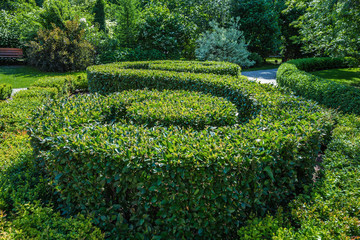 Garden with topiary