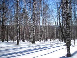 snowmobile in siberia