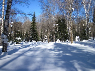 snowmobile in siberia