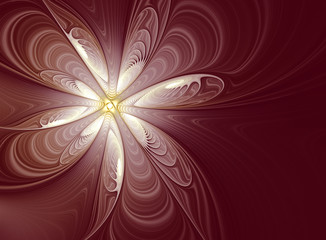 Abstract white flower on claret background