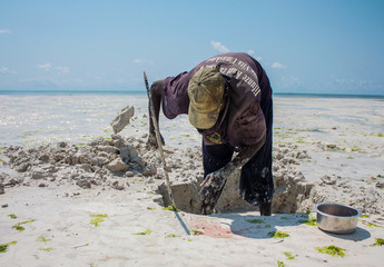 A fisherman looking for bait in Zanzibar