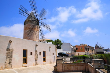 palma de mallorca © fotobild40