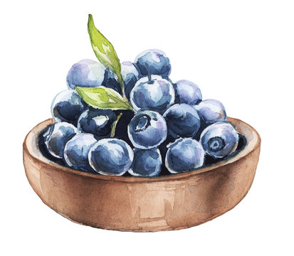 Blueberries bowl watercolor illustration
