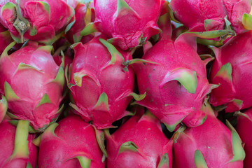 Fresh Red Dragon fruit in the market