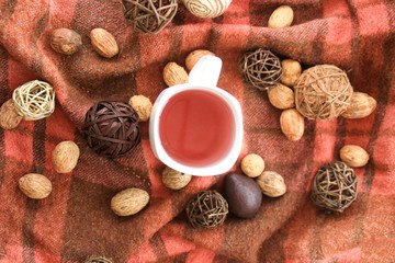 Autumn decor with white cup of tea.
