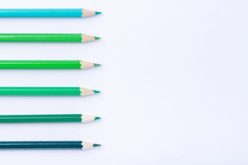 Macro photograph of several pencils of green color on a white background