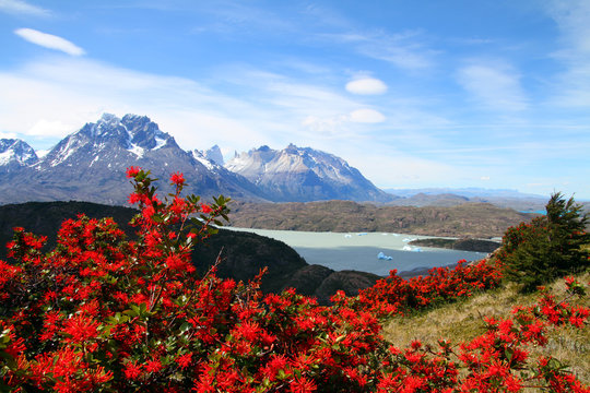 Torres del Paine Nationalpark,