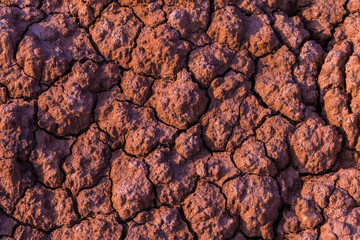 Cracked earth drought