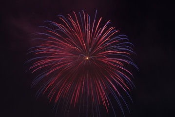 花火（ fireworks）	