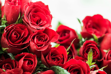 Red rose Flowers have a refreshing aroma