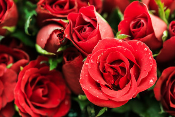 Red rose Flowers have a refreshing aroma