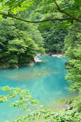 山峡の清流。抱返り渓谷。田沢　仙北　秋田　日本。７月中旬。