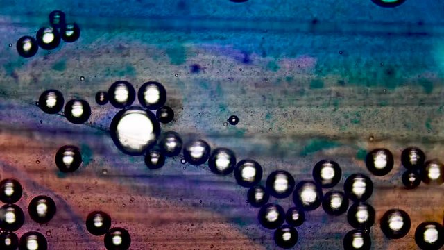Microscopic bleach bacteria drops in liquid colorful enviroment