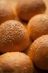 background of homemade buns with sesame seeds for hamburgers. made at home bread. natural product.