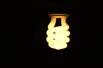 light bulb against black 