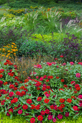 Fototapeta premium Beautiful landscape of the Summer Garden. Decorative composition of colorful flowers in Riga. Latvia.