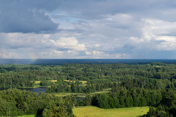 Fototapeta na wymiar View from Suur Munamagi over forest landscape in South Estonia.