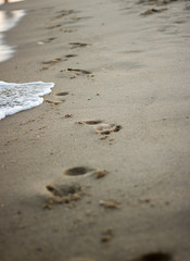 sea