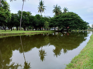 Fototapeta na wymiar Swamp in historical park.