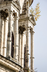 Golden autumn in the old Park
