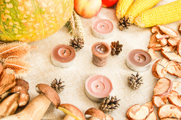 Fototapeta na wymiar Thanksgiving fall composition: pumpkin, apples, mushrooms, corn, dried fruits