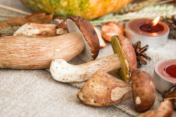 Thanksgiving and fall composition with mushrooms.