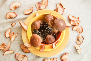 Thanksgiving and fall composition with mushrooms in yellow plate.