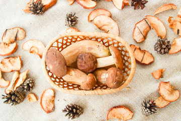Thanksgiving and fall composition with mushrooms.