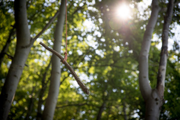 Selbst gebaute Schaukel in Wald, Waldpädagogik