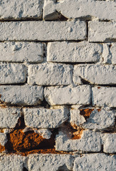 Brick wall texture