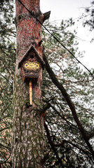 Bird feeders at the autumn trees
