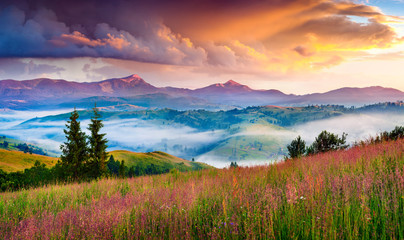 Colorful morning panorama of the Carpathian mountains.