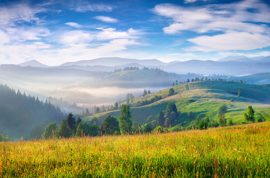 Magnificent summer scene in Carpathian mountains