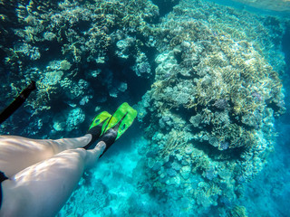 Girl swims near coral in red sea.