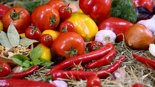 Red, yellow peppers, tomatoes, onions, red chili, garlic on fresh hay
