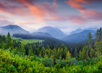 Fototapeta premium Cresta di Enghe mountain range in the morning mist.