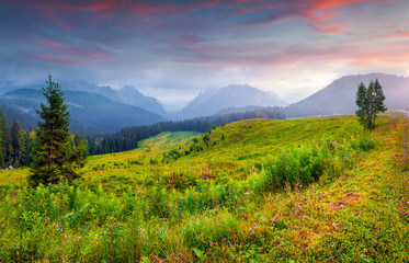 Fototapeta premium Cresta di Enghe mountain range in the morning mist.