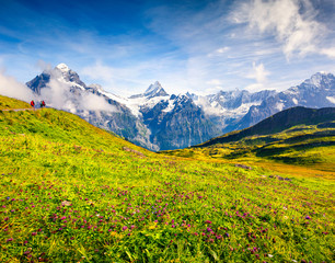 Fototapeta na wymiar Colorful summer view near Bachalpsee lake with Schreckhorn and Wetterhorn peaks in the morning mist.