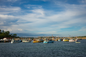 Fishery Harbour