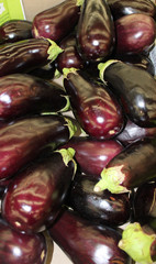 aubergines