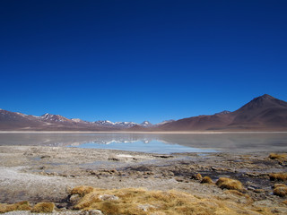 Laguna blanca, Altiplano, Bolivia