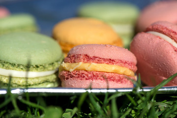 French cake macaron or macaroon at picnic outdoors. Colorful cookies made from almond flour in pastel colors. 